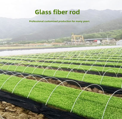 Leichte Unterstützung des Fiberglas-FRP Rod For Agricultural Greenhouse Tunnel