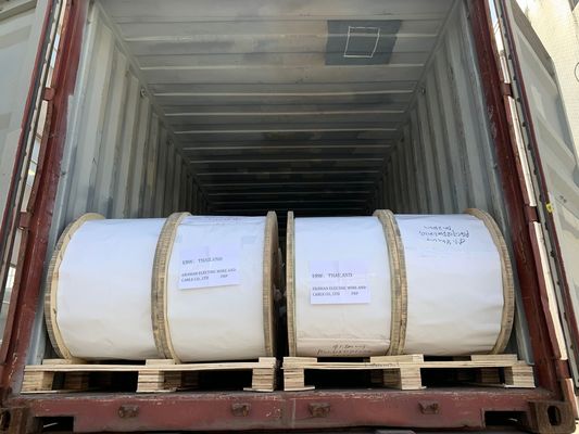 Nicht metallische FRP-Mitgliedsfarbe formte die Galvanisierung keiner Malerei